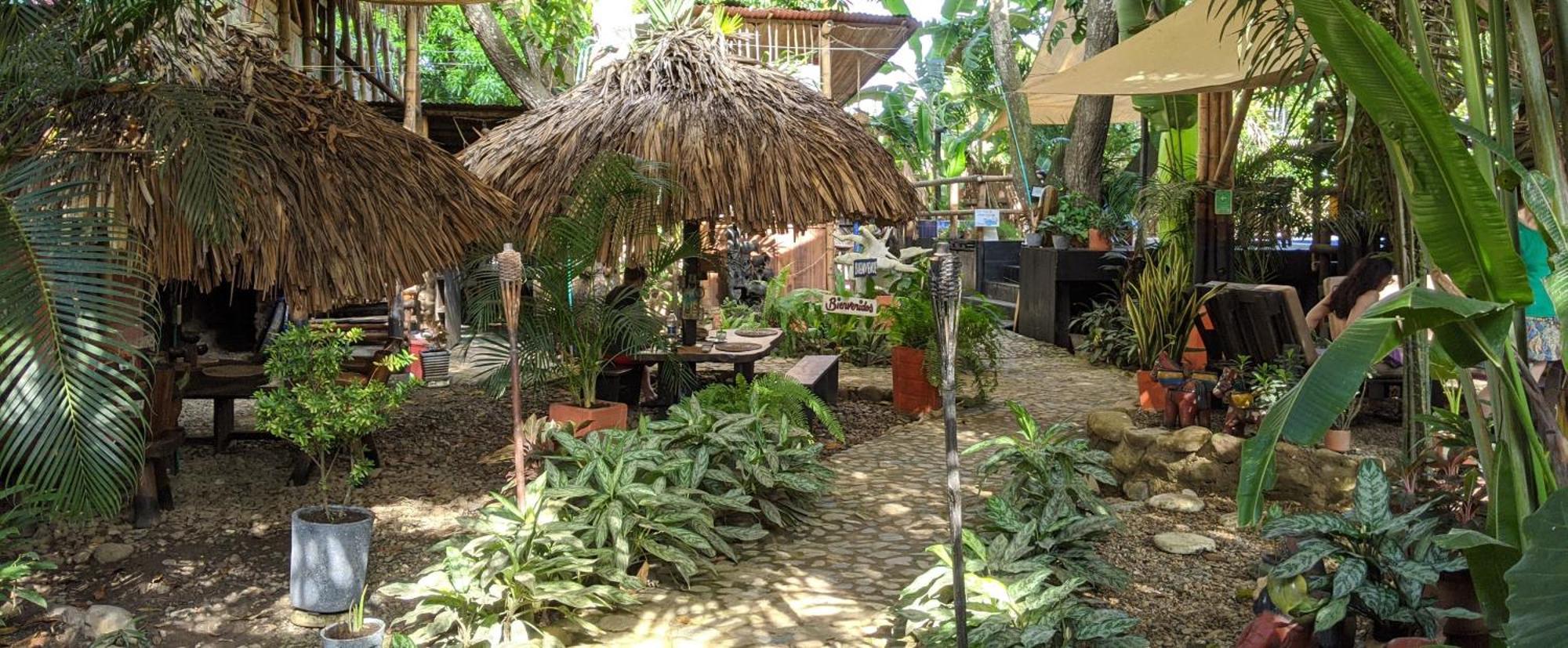 La Natura Hostel & Pool Palomino Exterior photo