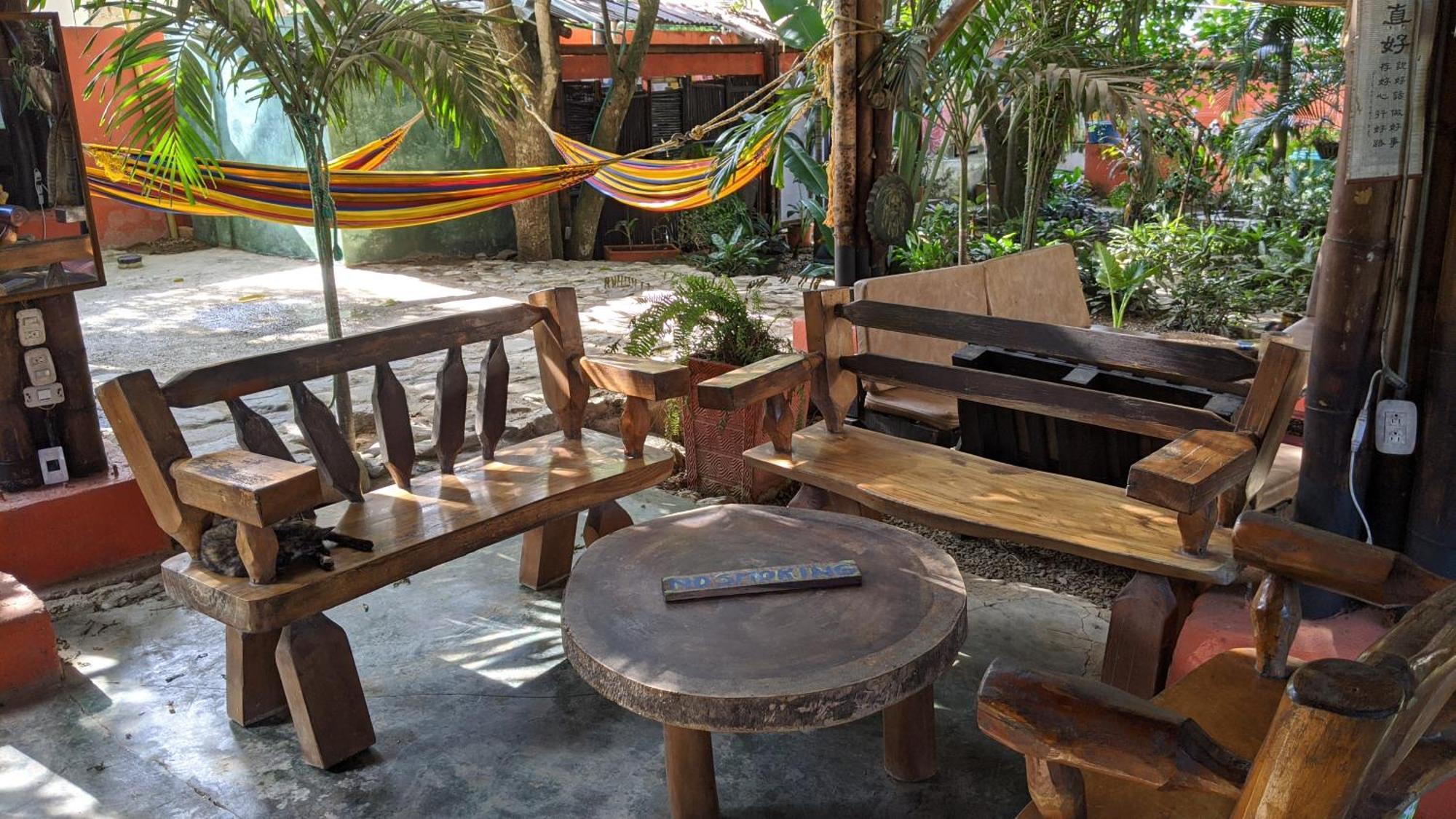 La Natura Hostel & Pool Palomino Exterior photo