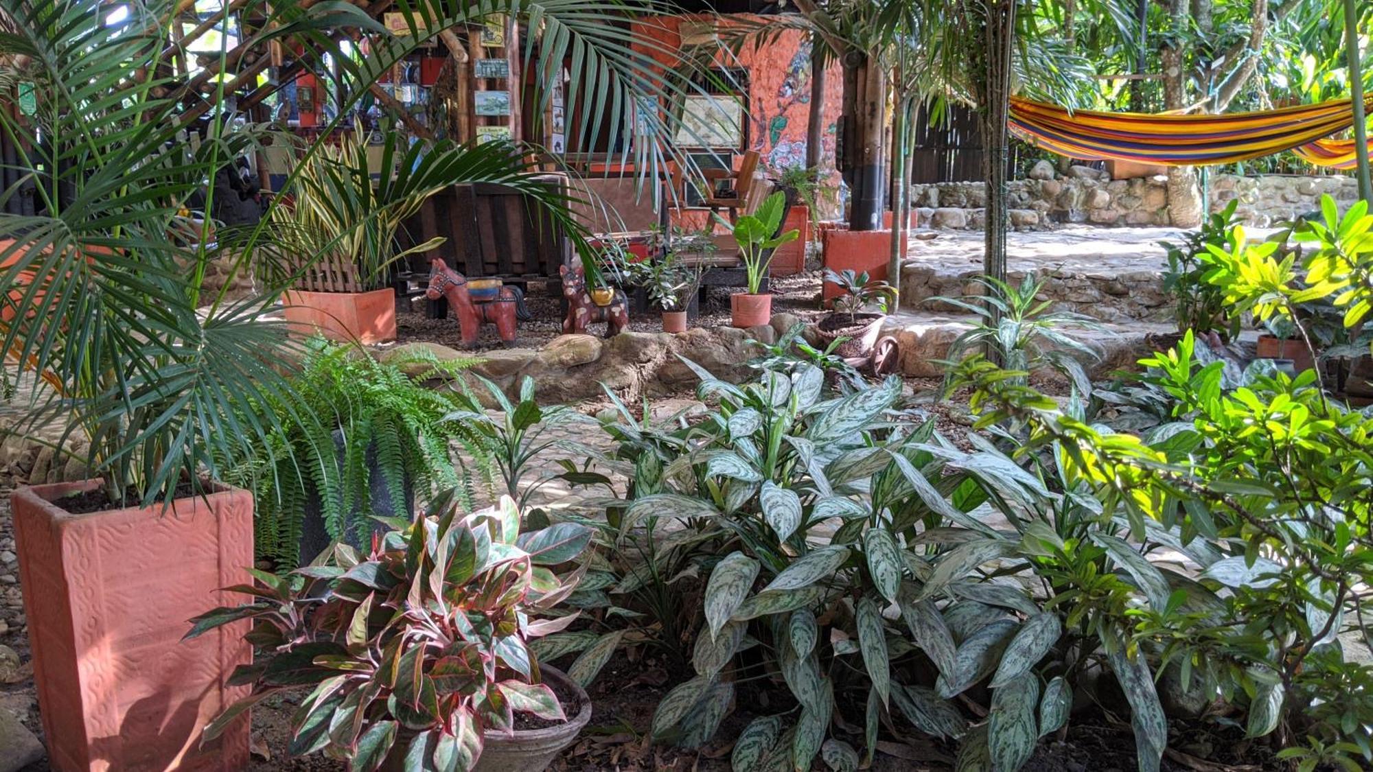 La Natura Hostel & Pool Palomino Exterior photo