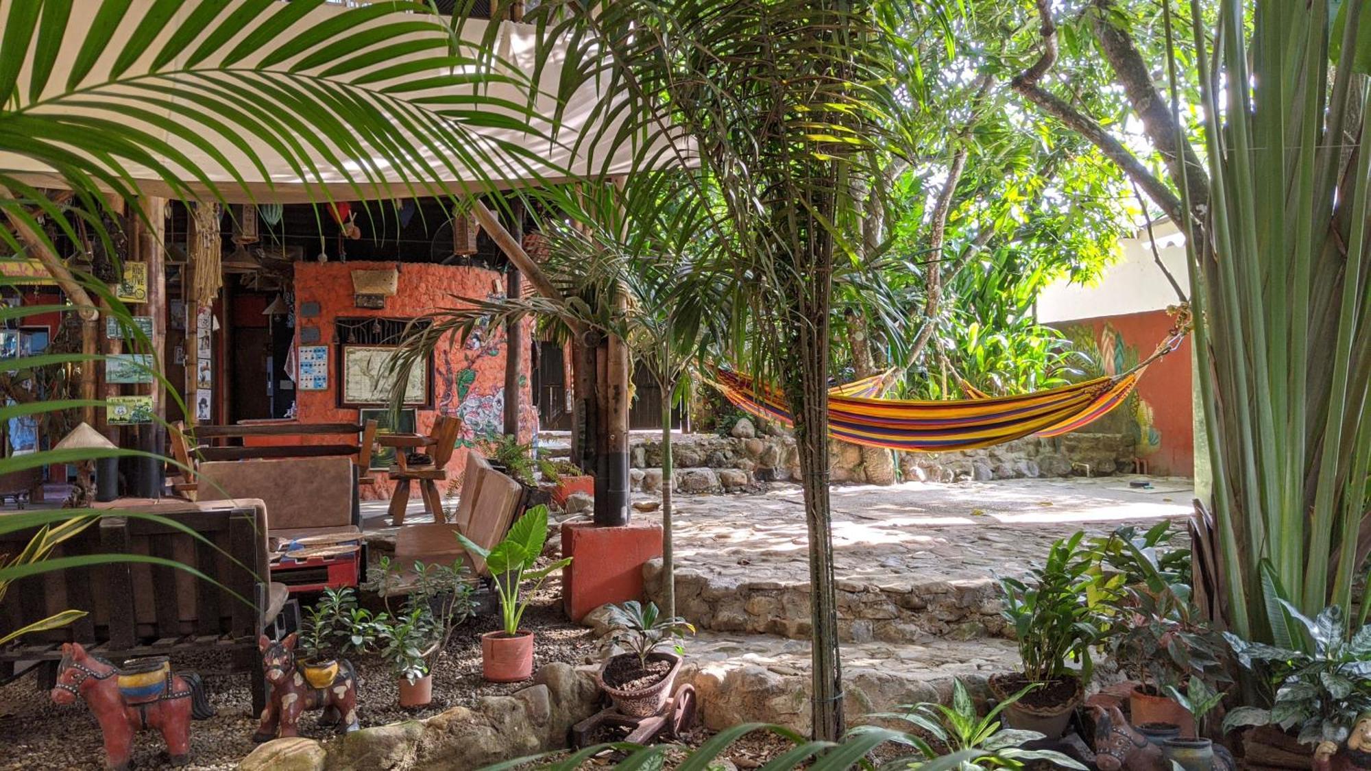 La Natura Hostel & Pool Palomino Exterior photo
