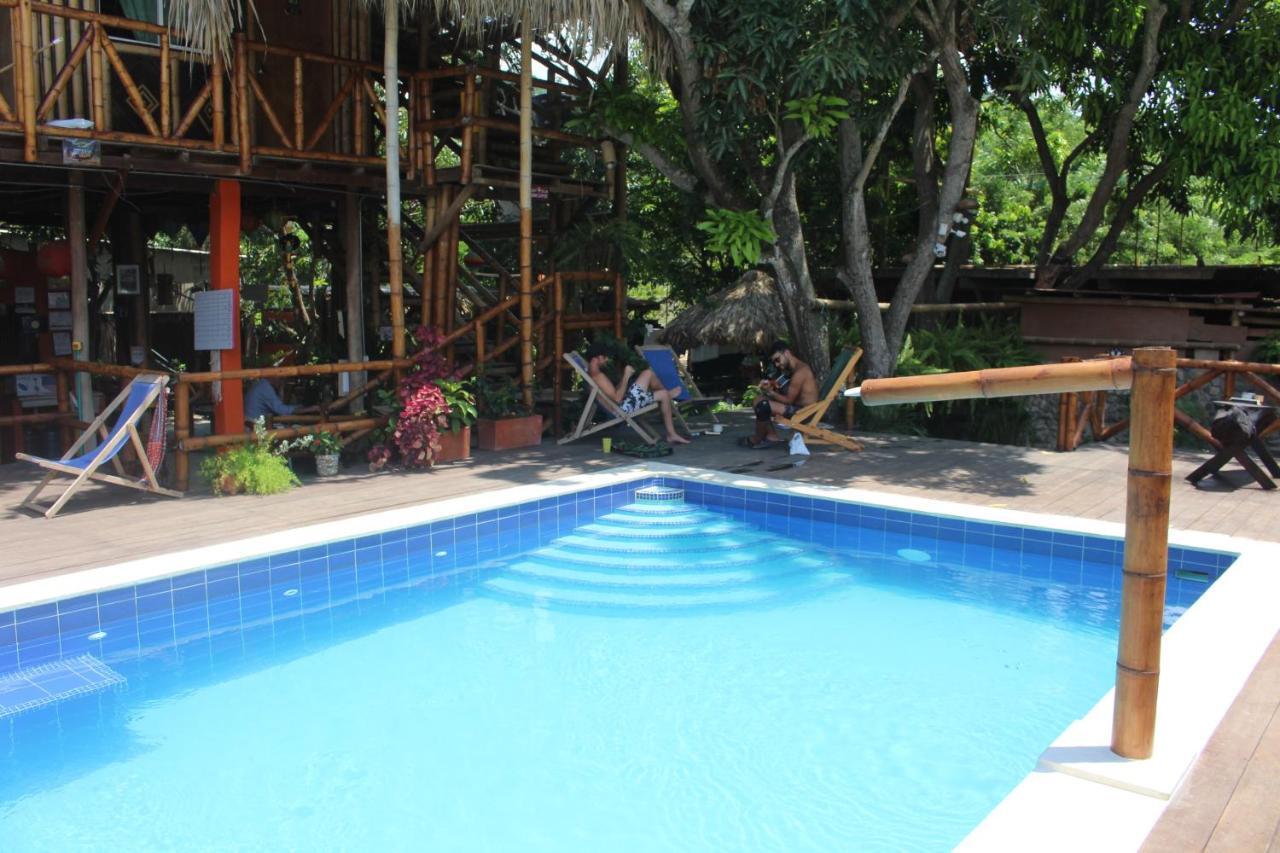 La Natura Hostel & Pool Palomino Exterior photo